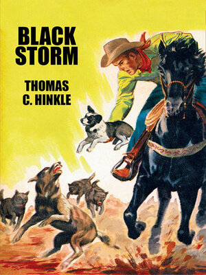 cover image of Black Storm